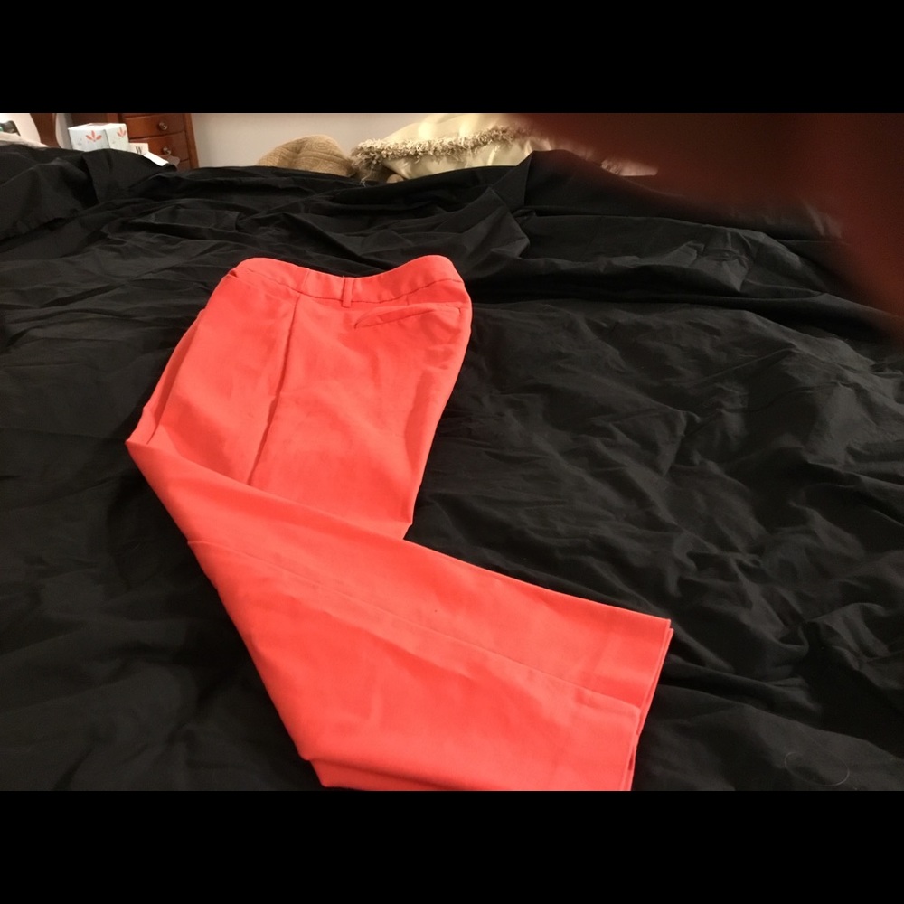 Ladies pants